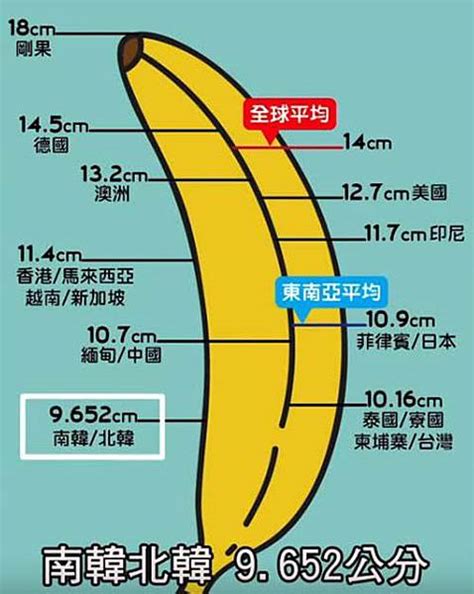 陰莖相|人類陰莖